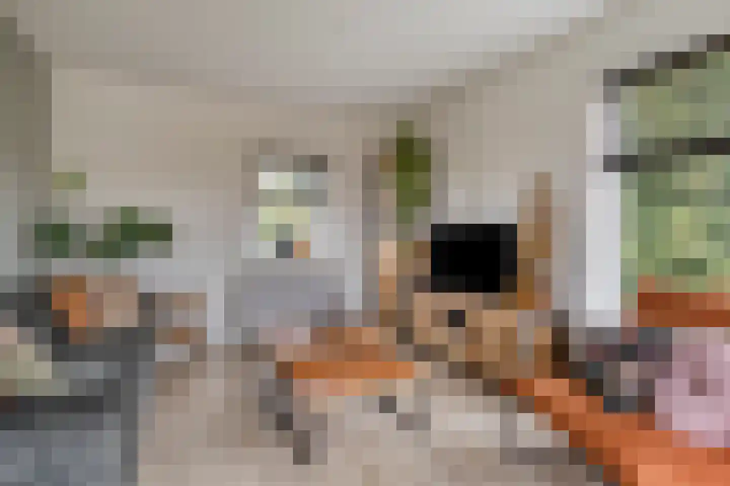 Schaapstreek 1 Ees thumbnail 15