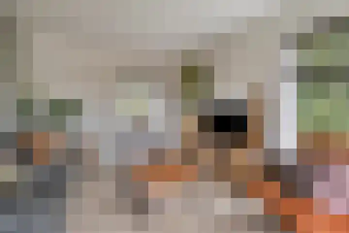 Schaapstreek 1 Ees thumbnail 15