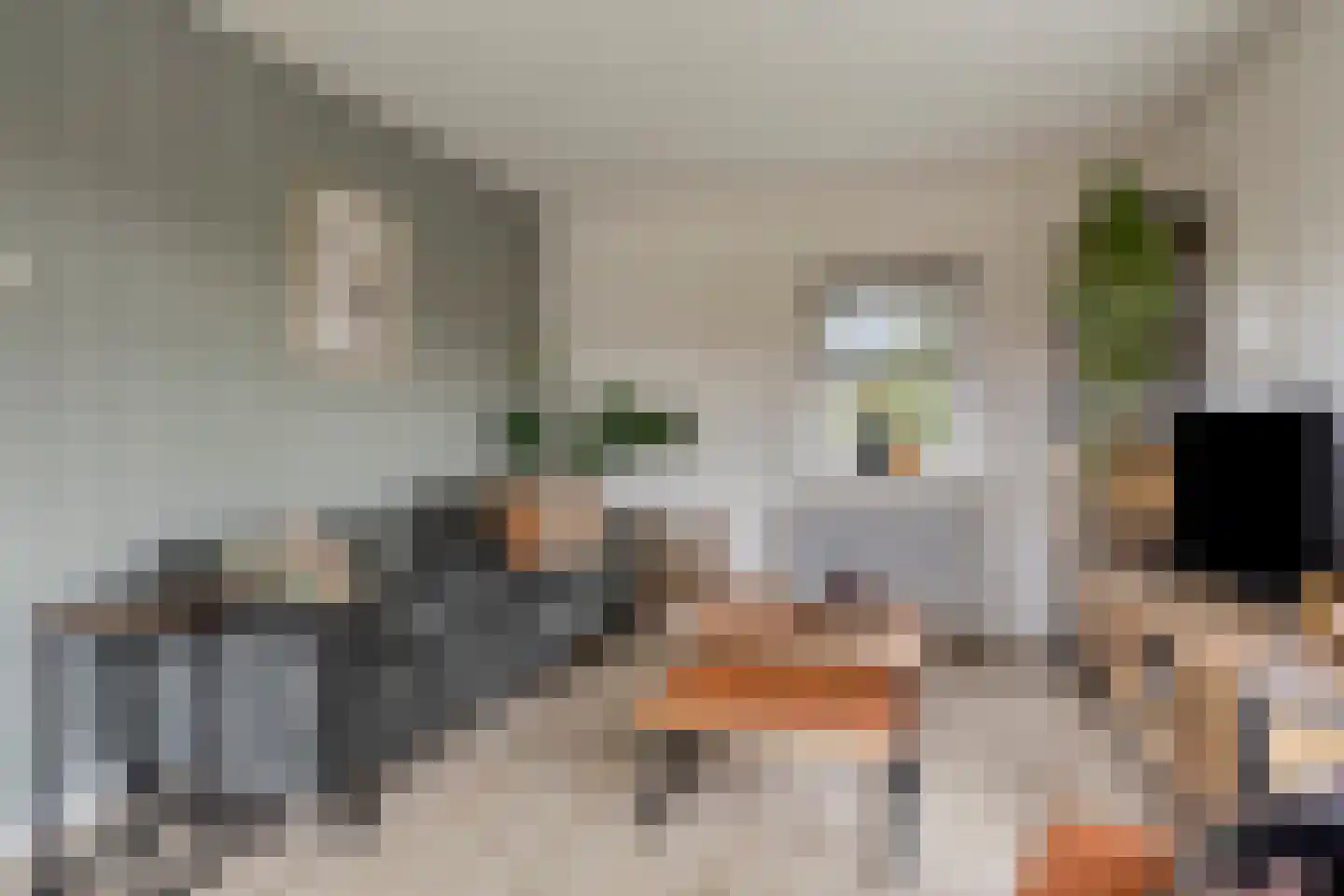 Schaapstreek 1 Ees thumbnail 16