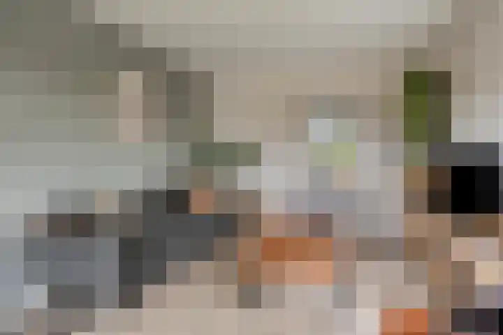 Schaapstreek 1 Ees thumbnail 16