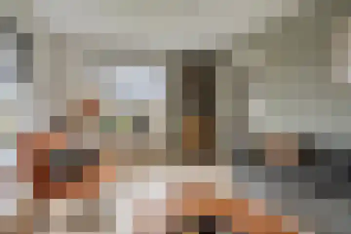 Schaapstreek 1 Ees thumbnail 17