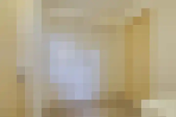 Schaapstreek 1 Ees thumbnail 18