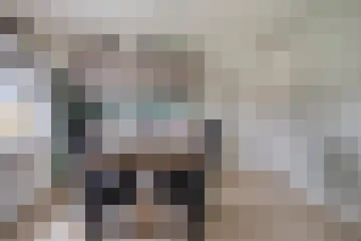 Schaapstreek 1 Ees thumbnail 19