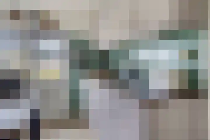 Schaapstreek 1 Ees thumbnail 22