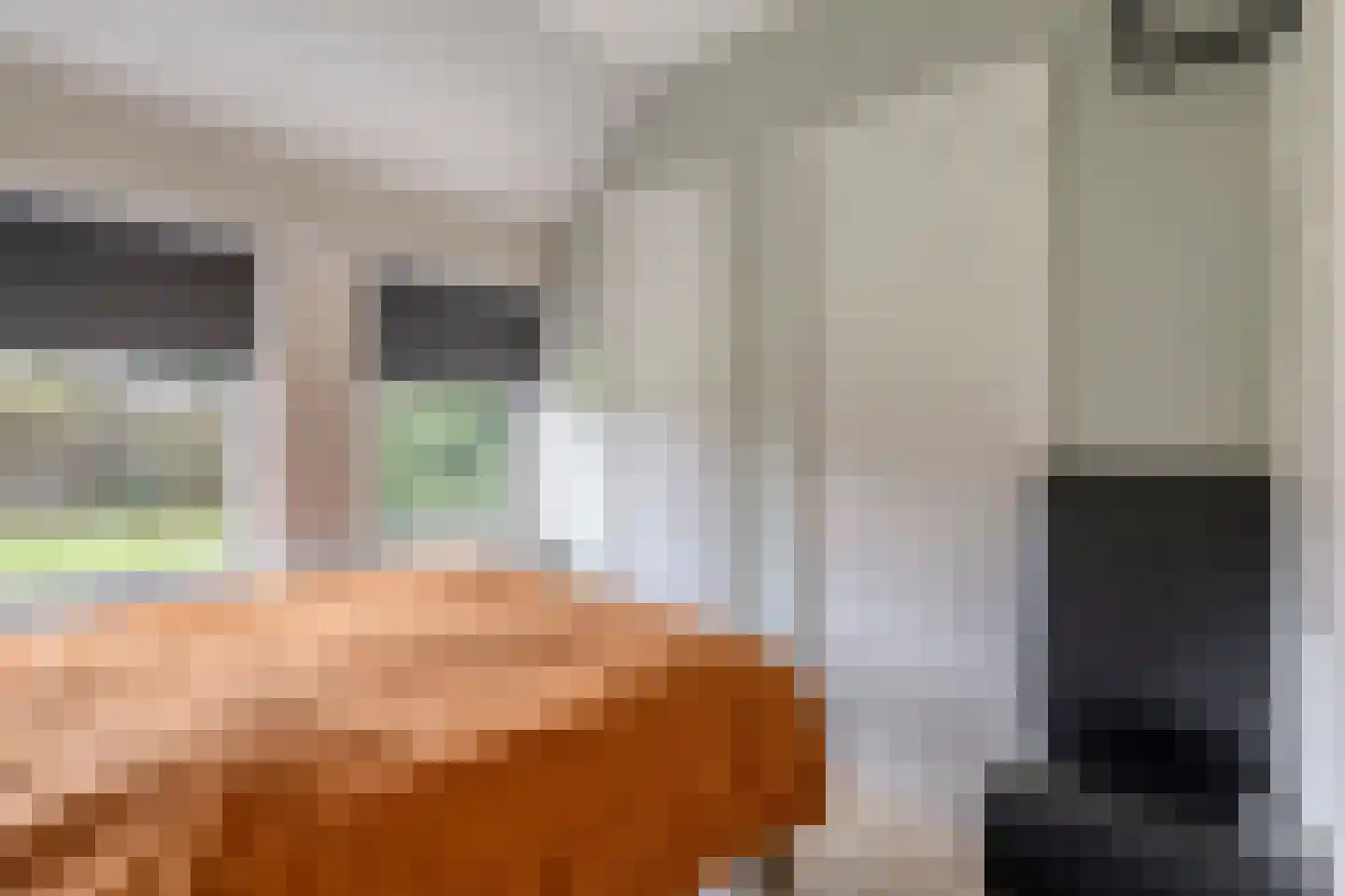 Schaapstreek 1 Ees thumbnail 23