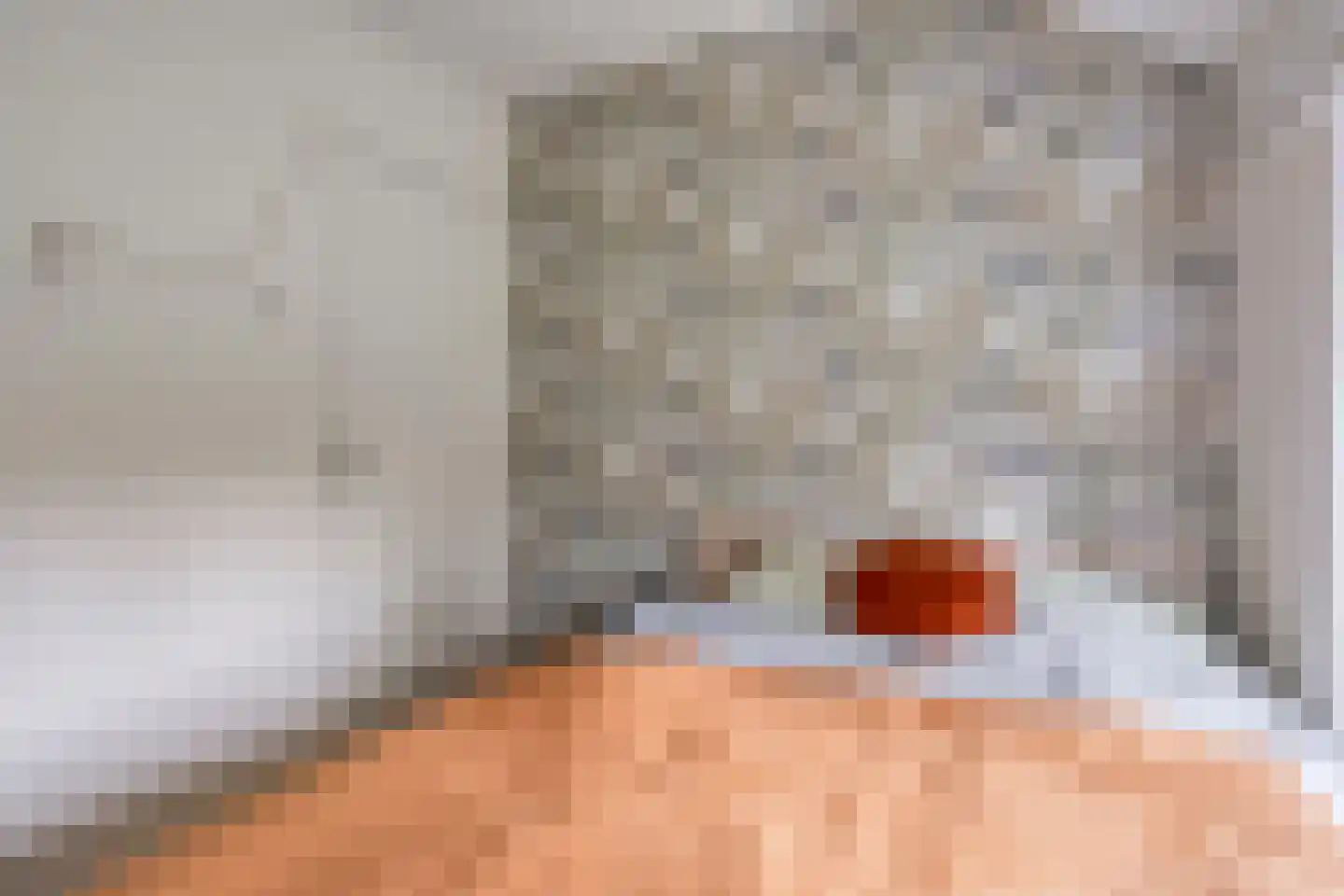 Schaapstreek 1 Ees thumbnail 24