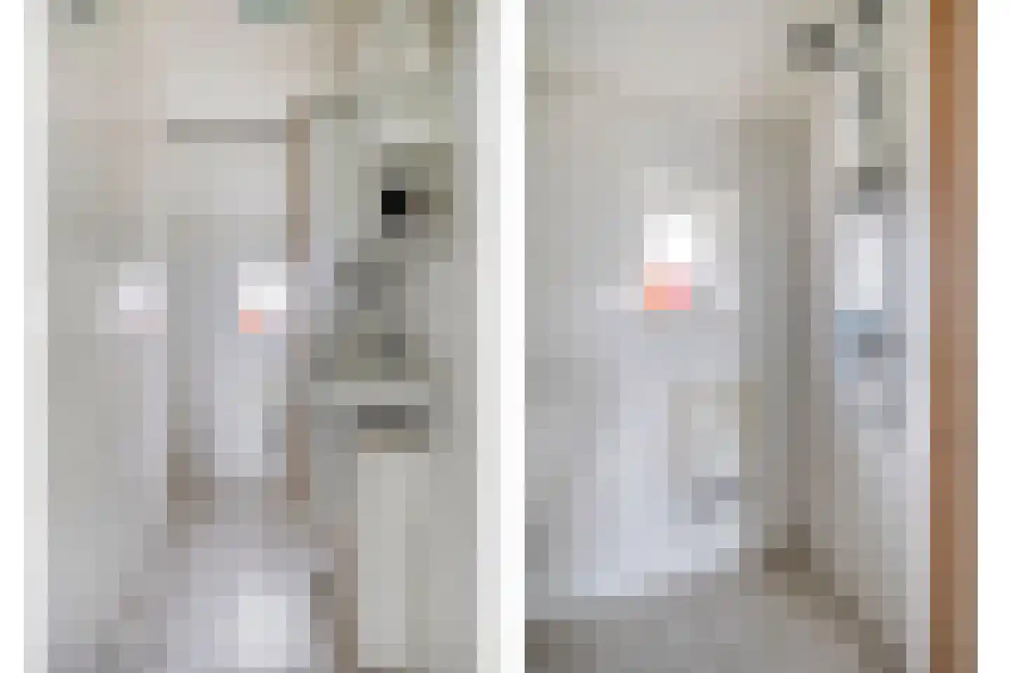 Schaapstreek 1 Ees thumbnail 25