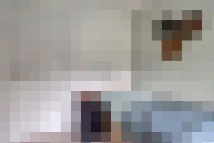 Schaapstreek 1 Ees thumbnail 27