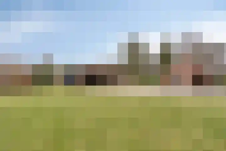 Schaapstreek 1 Ees thumbnail 29