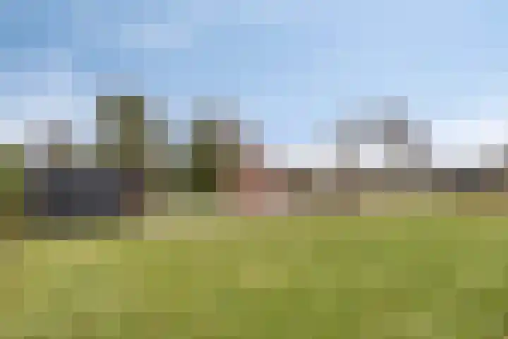 Schaapstreek 1 Ees thumbnail 30