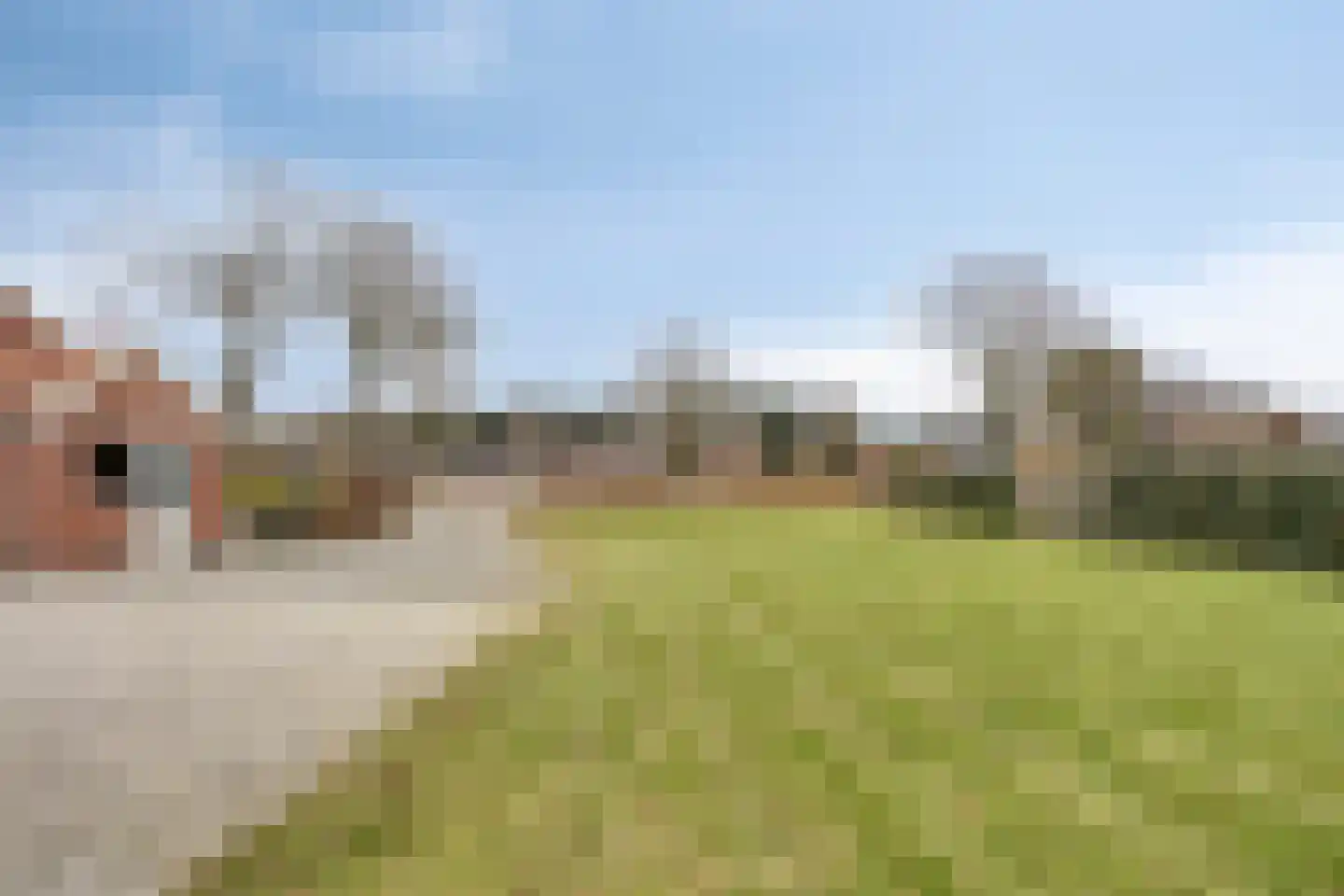 Schaapstreek 1 Ees thumbnail 31