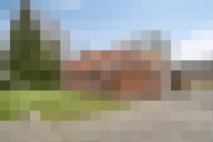 Schaapstreek 1 Ees thumbnail 33