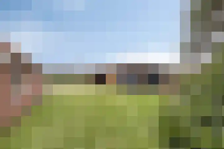 Schaapstreek 1 Ees thumbnail 35