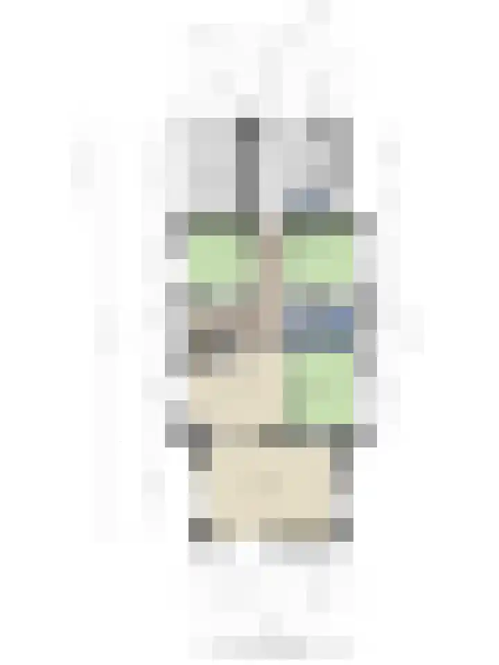 Schaapstreek 1 Ees thumbnail 38