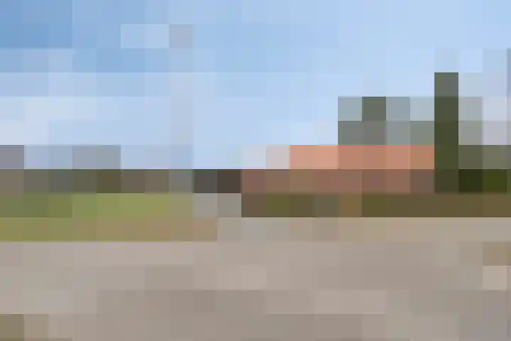 Schaapstreek 1 Ees thumbnail 4