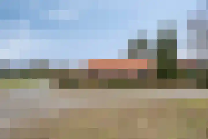 Schaapstreek 1 Ees thumbnail 5