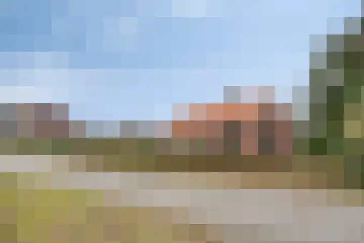 Schaapstreek 1 Ees thumbnail 6