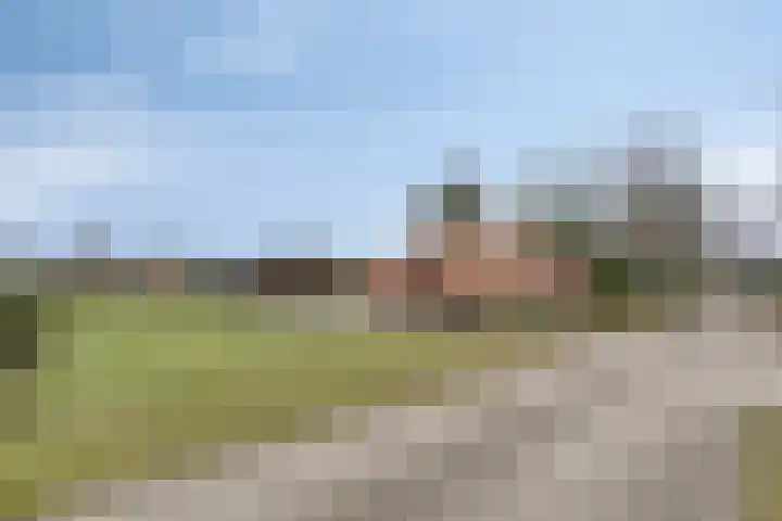 Schaapstreek 1 Ees thumbnail 8
