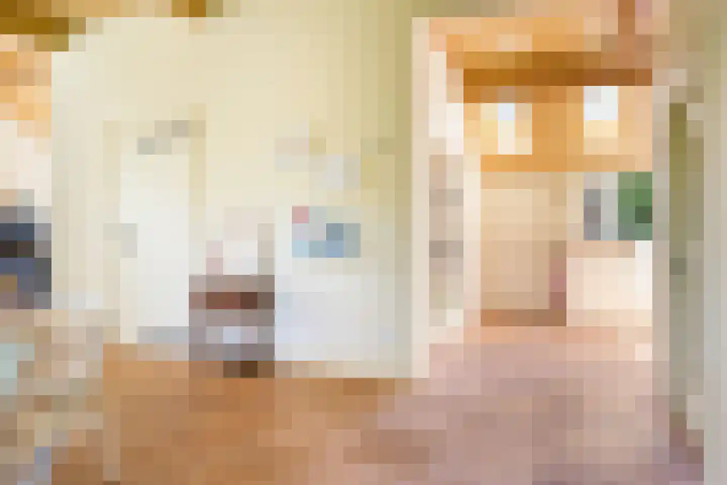 Schaapstreek 5 Sleen thumbnail 11