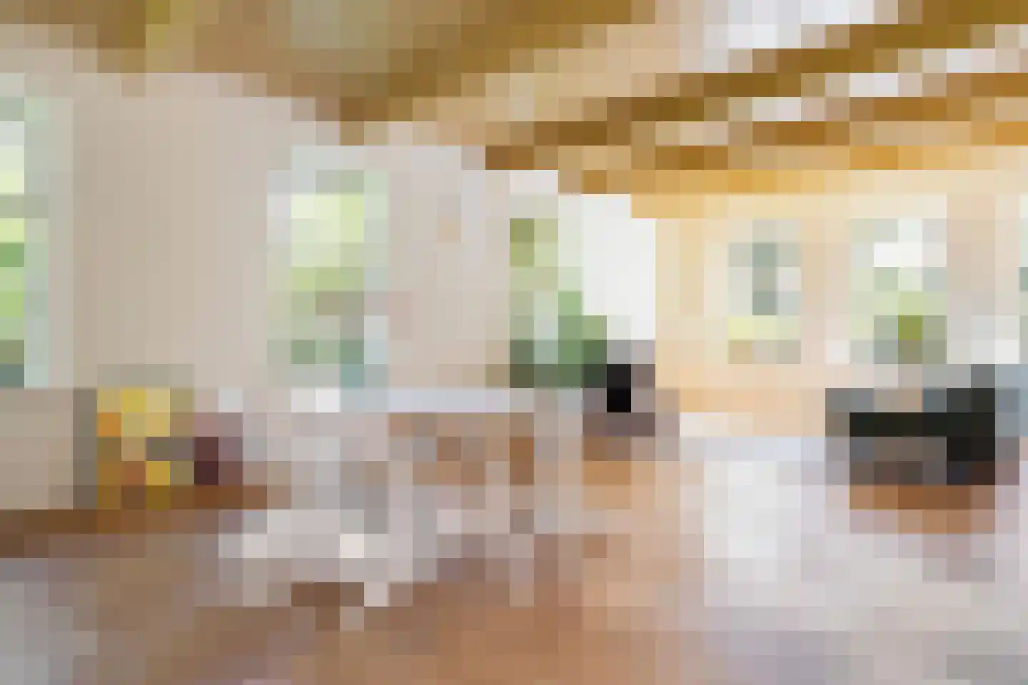 Schaapstreek 5 Sleen thumbnail 12