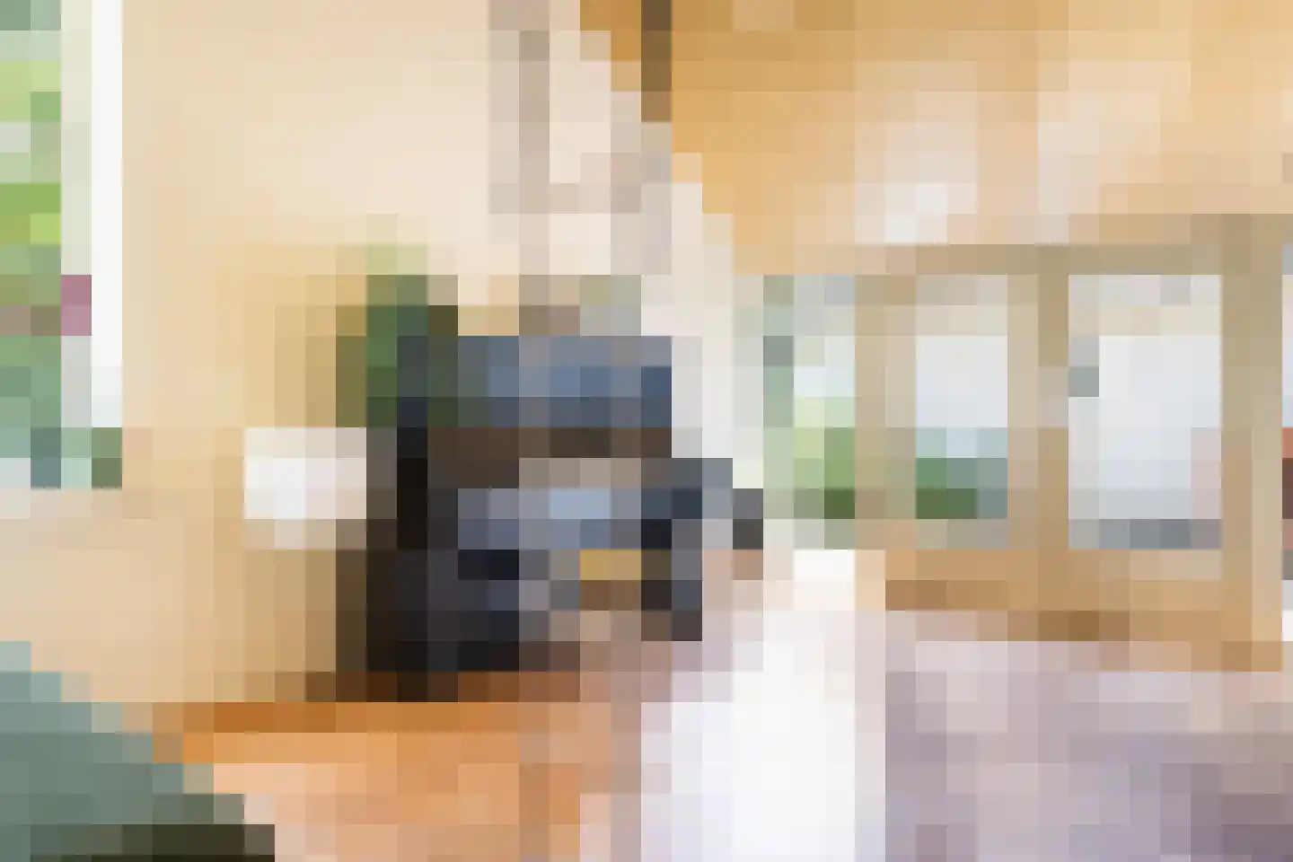 Schaapstreek 5 Sleen thumbnail 15