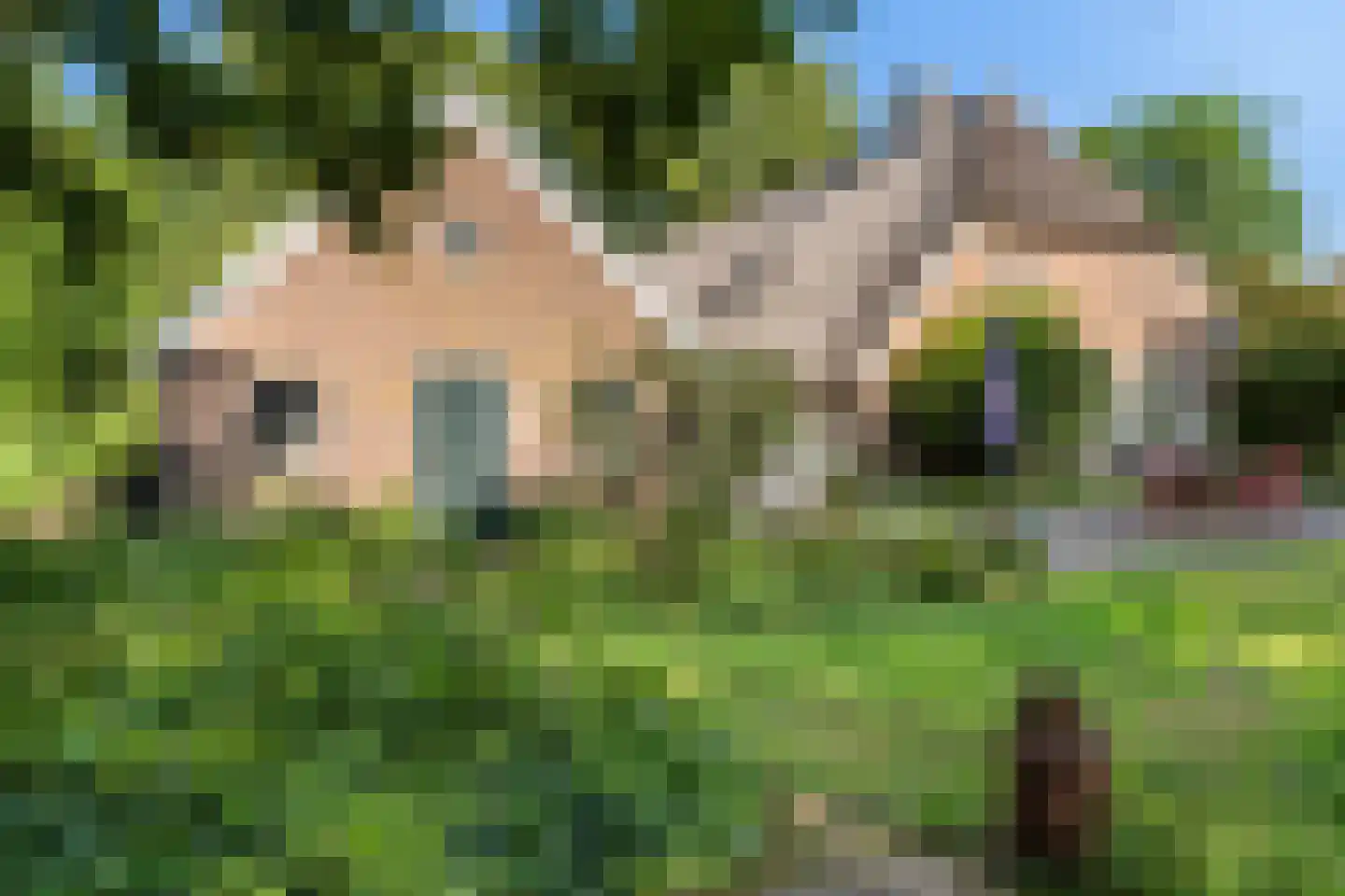 Schaapstreek 5 Sleen foto 2
