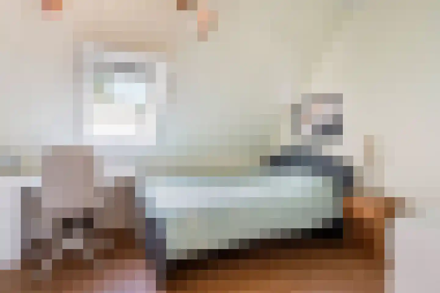 Schaapstreek 5 Sleen thumbnail 32