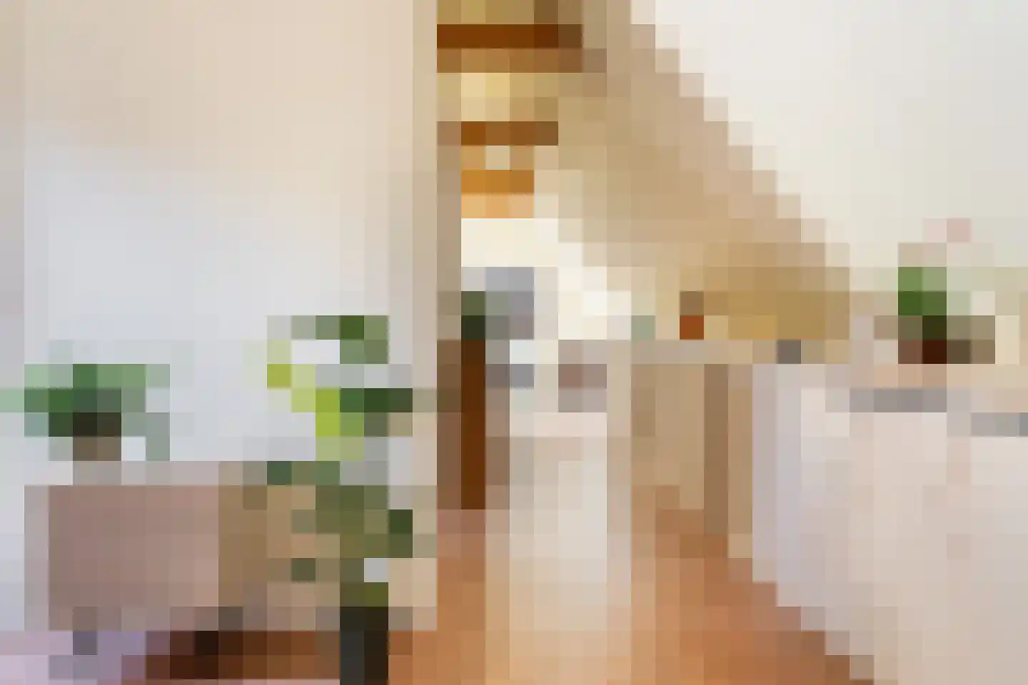 Schaapstreek 5 Sleen thumbnail 36