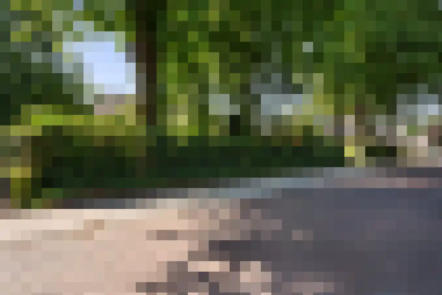 Schaapstreek 5 Sleen thumbnail 38