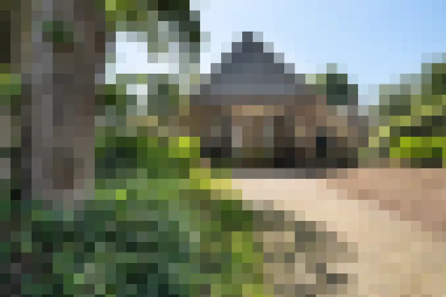 Schaapstreek 5 Sleen thumbnail 40