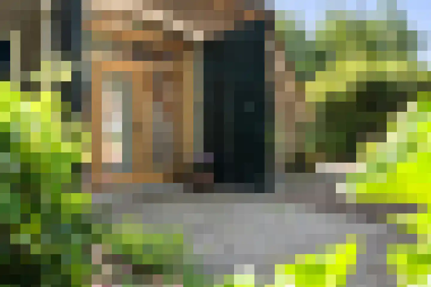 Schaapstreek 5 Sleen thumbnail 42