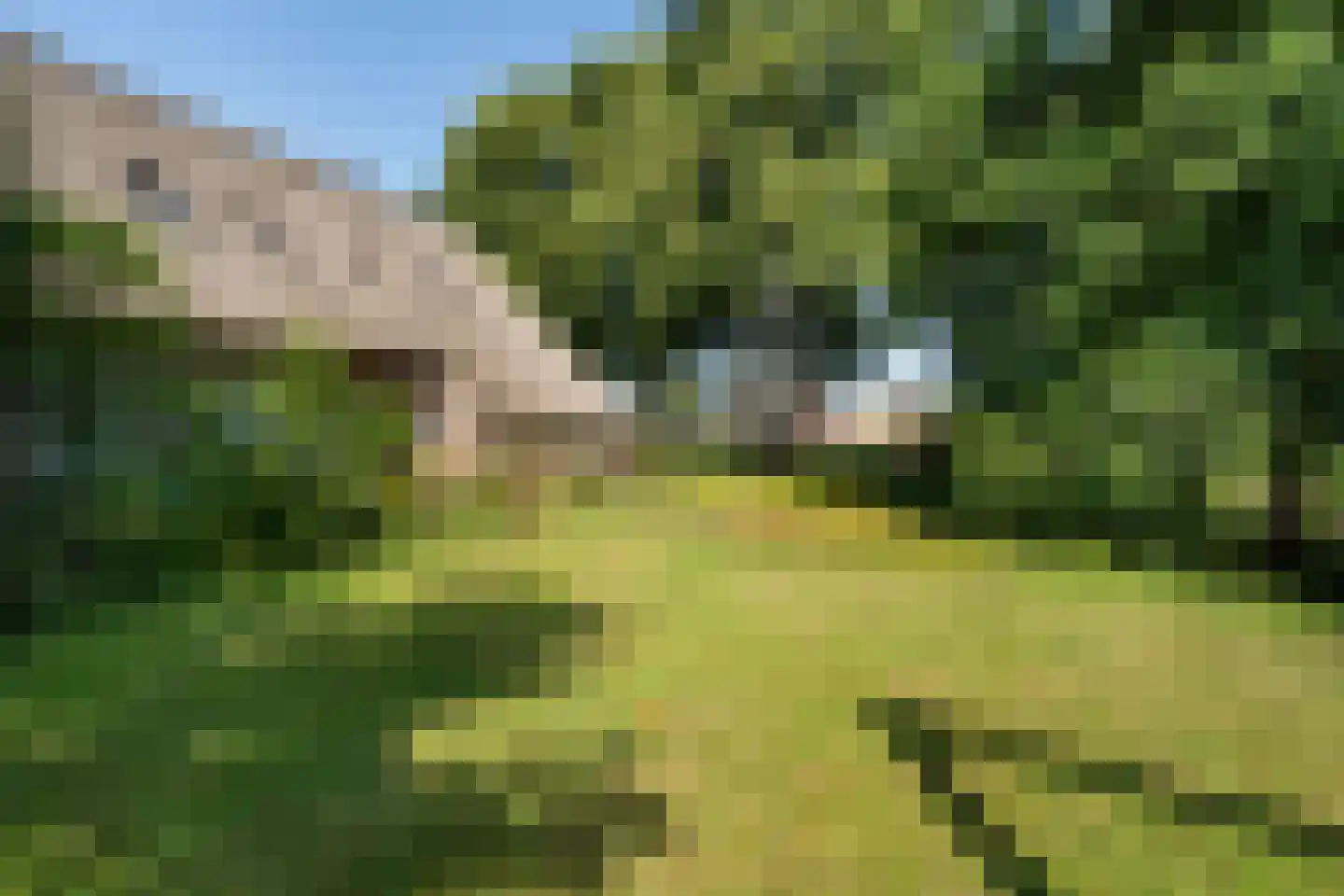 Schaapstreek 5 Sleen thumbnail 45