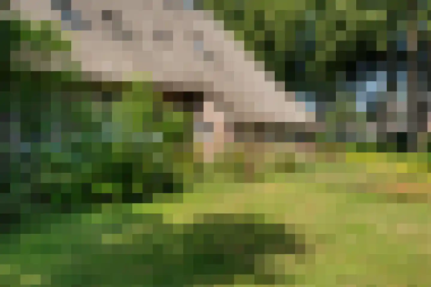 Schaapstreek 5 Sleen thumbnail 46