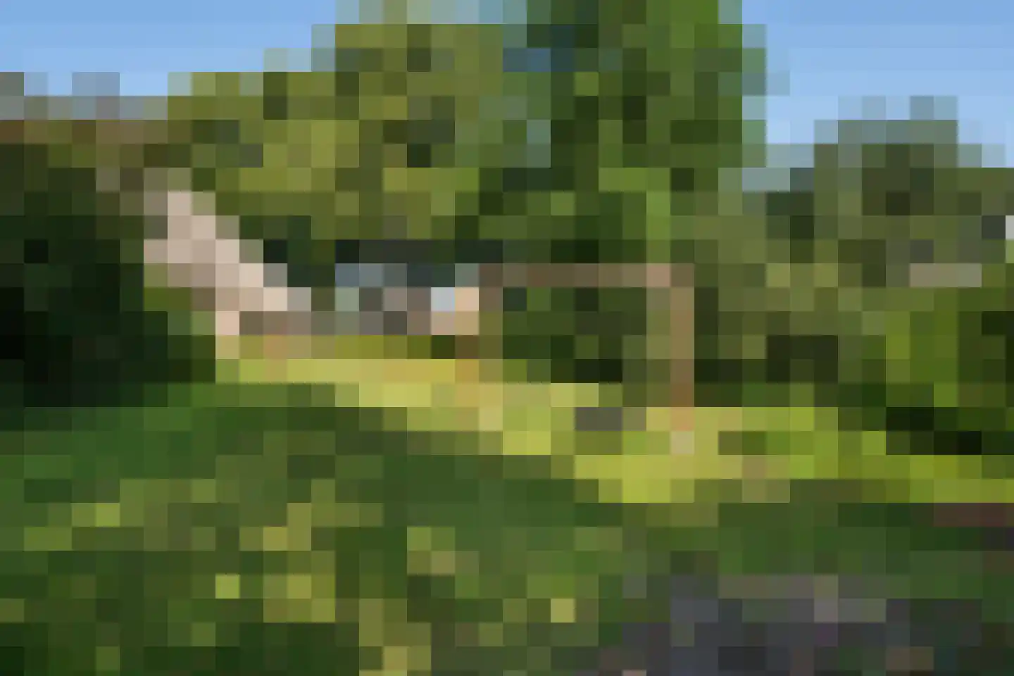 Schaapstreek 5 Sleen thumbnail 47