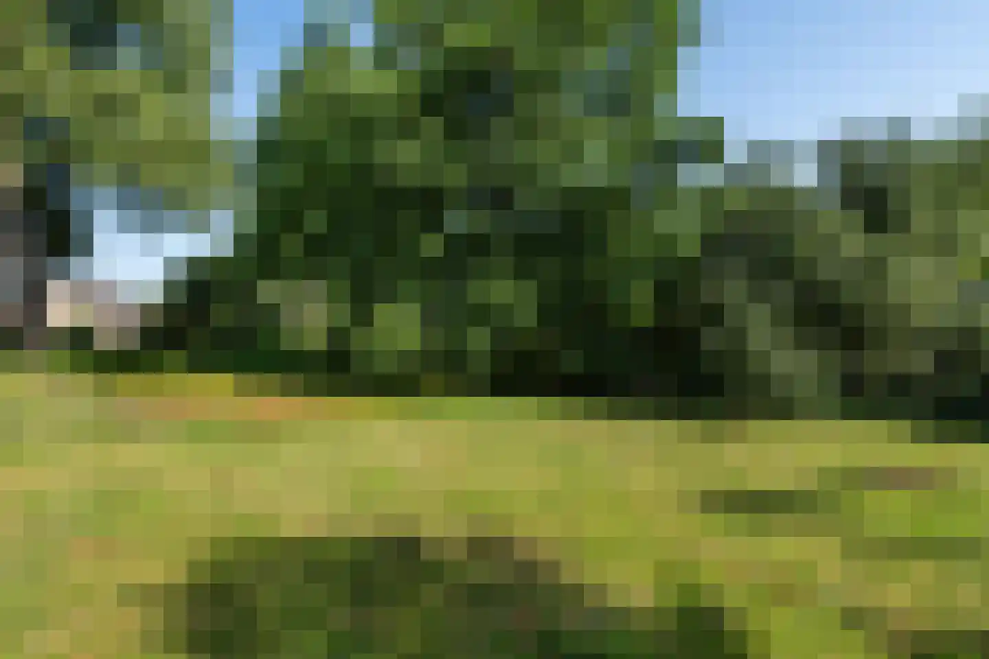Schaapstreek 5 Sleen thumbnail 48