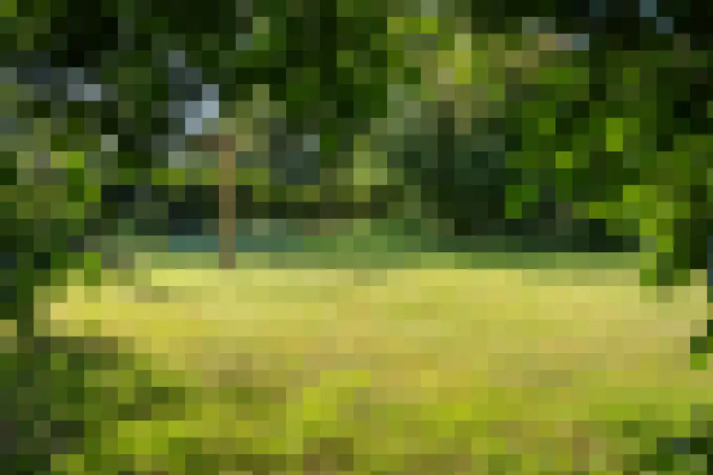 Schaapstreek 5 Sleen thumbnail 49
