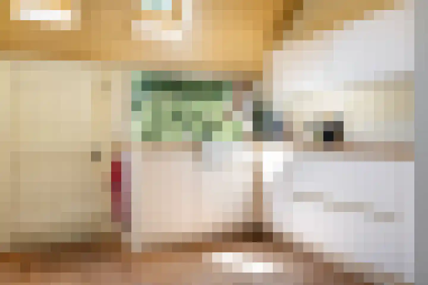 Schaapstreek 5 Sleen thumbnail 5