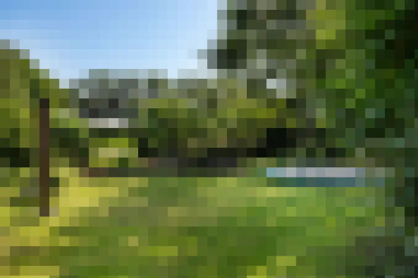 Schaapstreek 5 Sleen thumbnail 50
