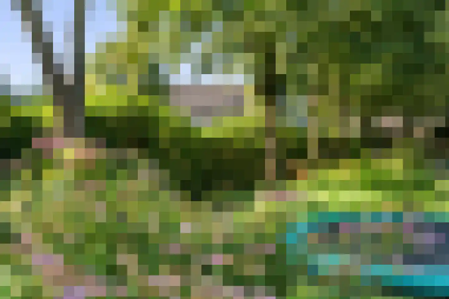 Schaapstreek 5 Sleen thumbnail 51