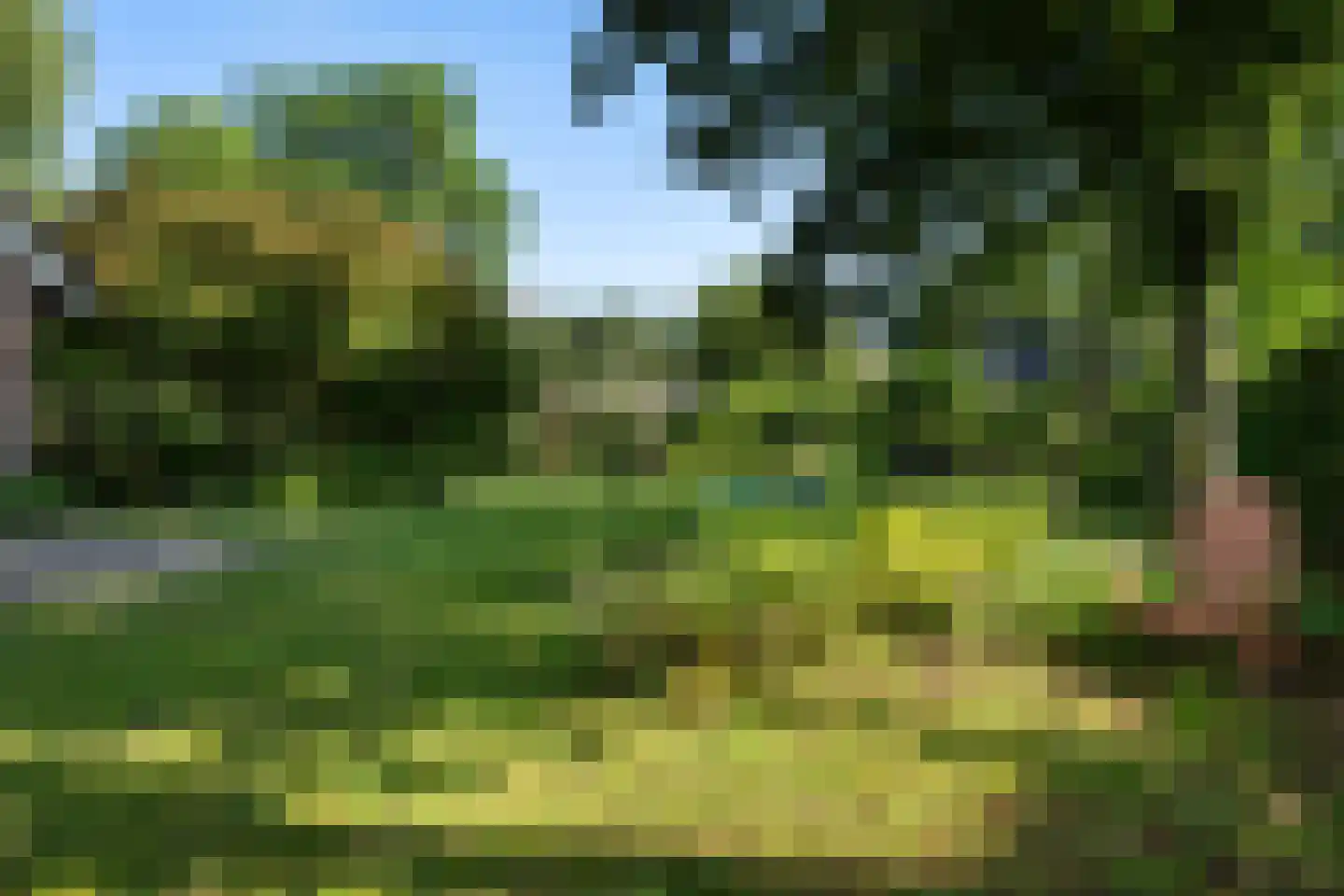 Schaapstreek 5 Sleen thumbnail 52