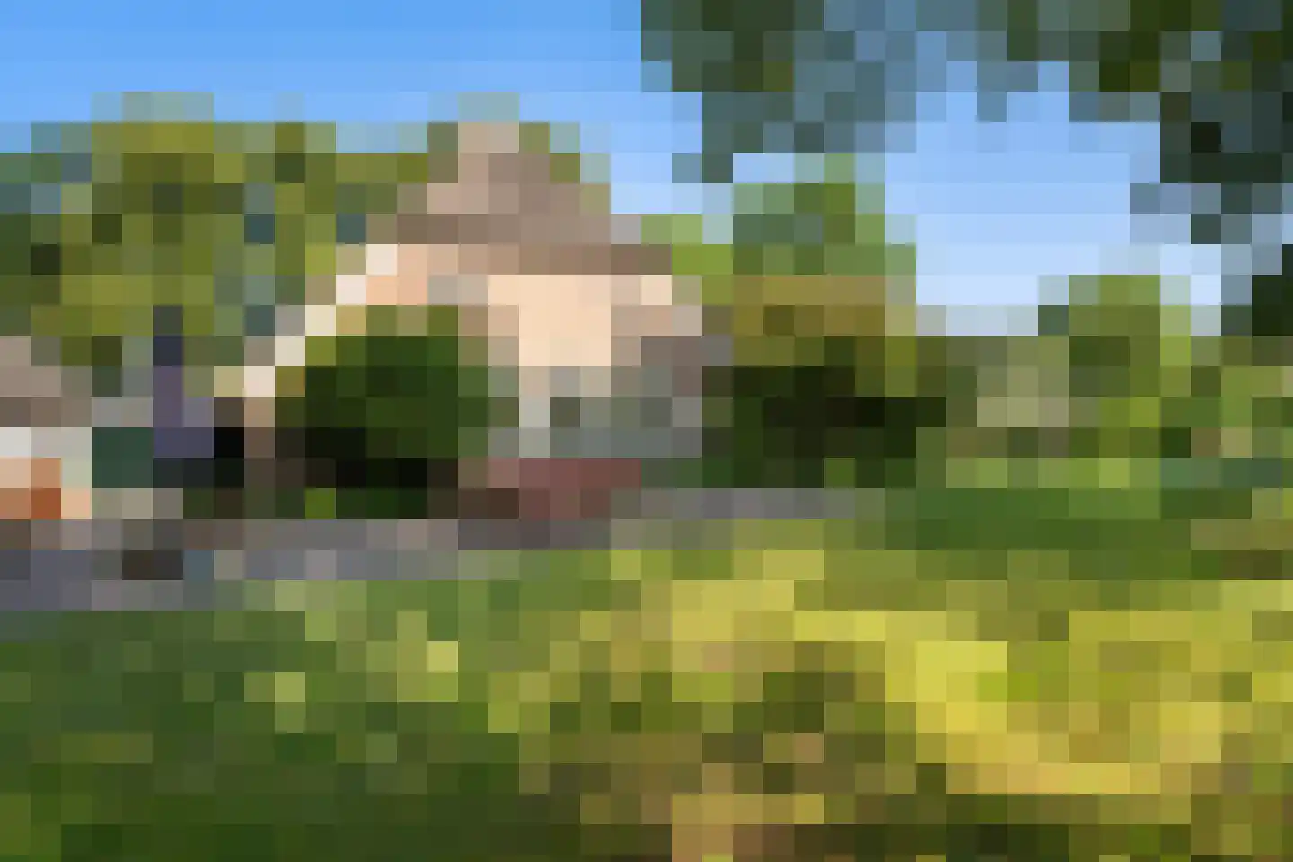 Schaapstreek 5 Sleen thumbnail 53