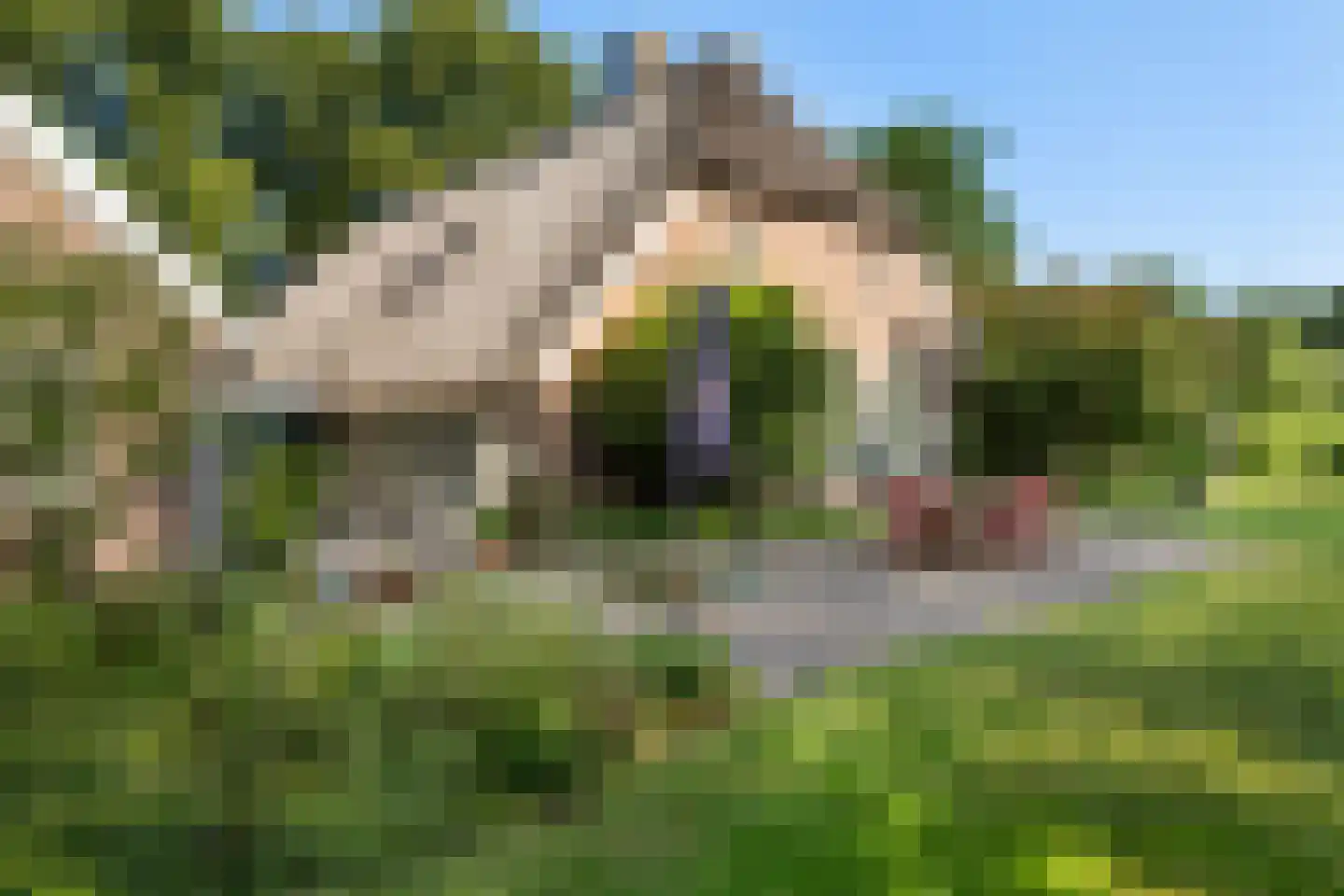 Schaapstreek 5 Sleen thumbnail 54