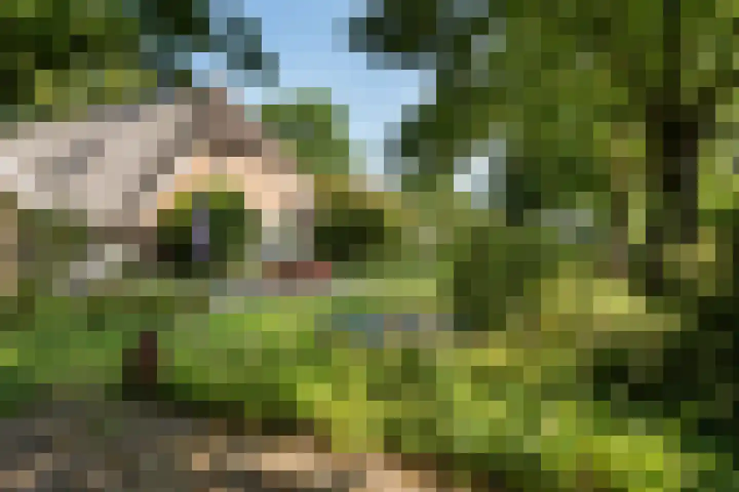 Schaapstreek 5 Sleen thumbnail 55