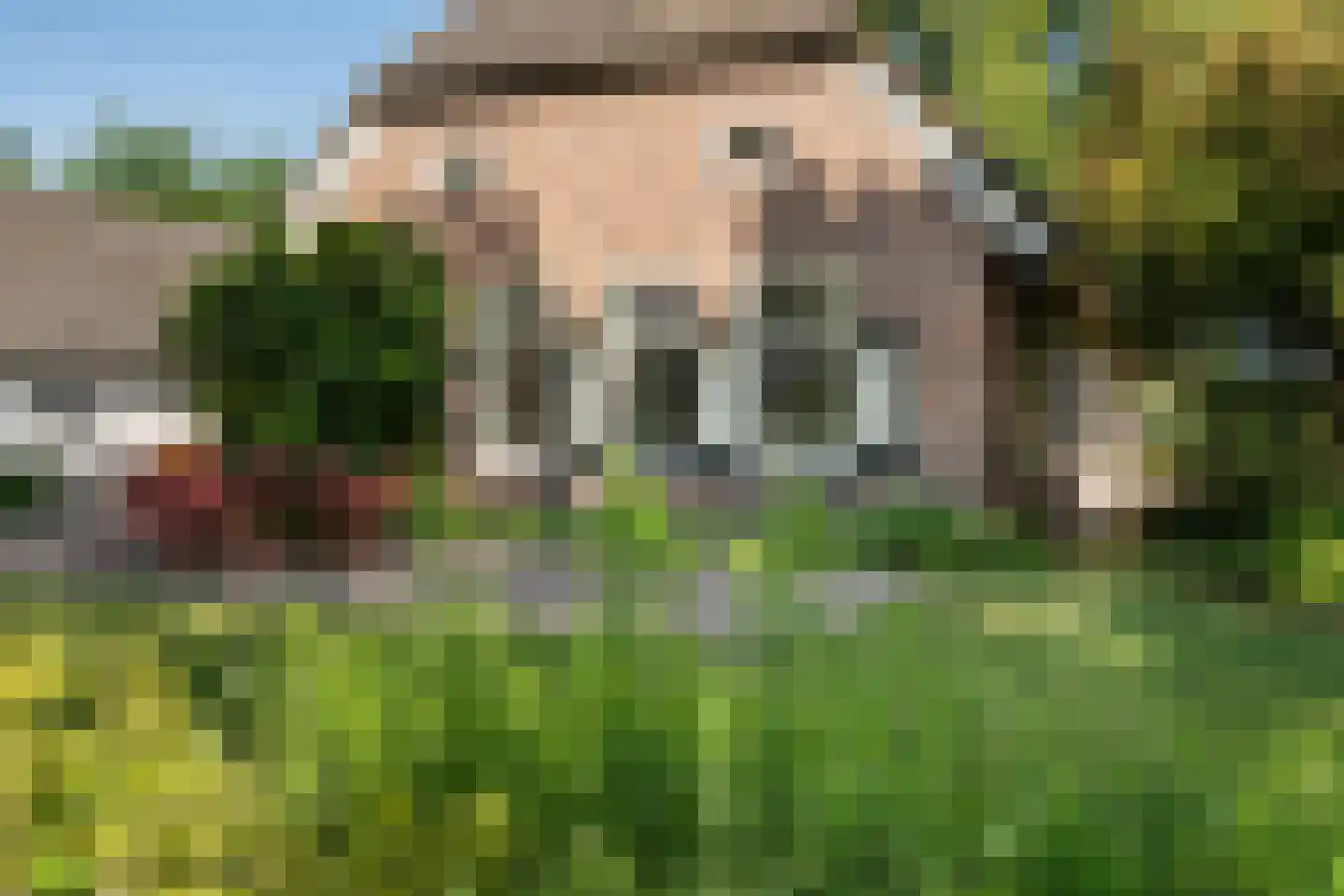 Schaapstreek 5 Sleen thumbnail 56