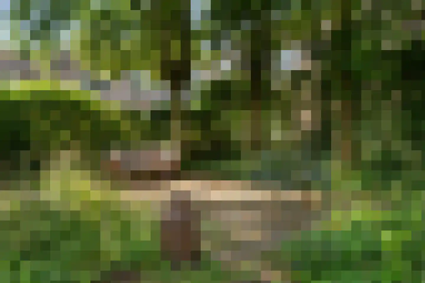 Schaapstreek 5 Sleen thumbnail 61