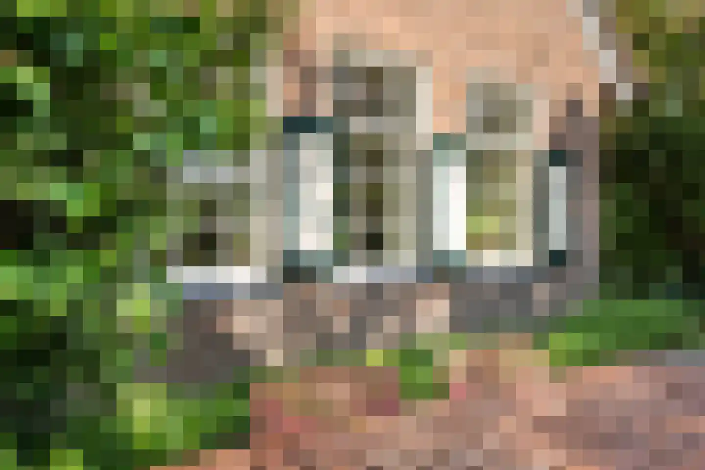Schaapstreek 5 Sleen thumbnail 63