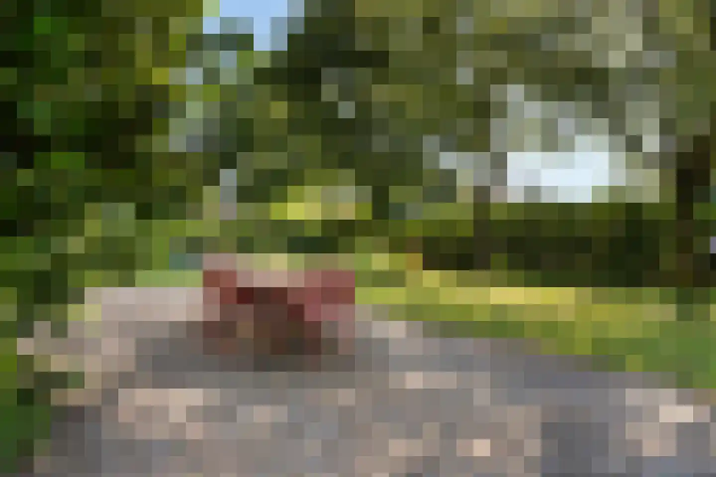 Schaapstreek 5 Sleen thumbnail 64