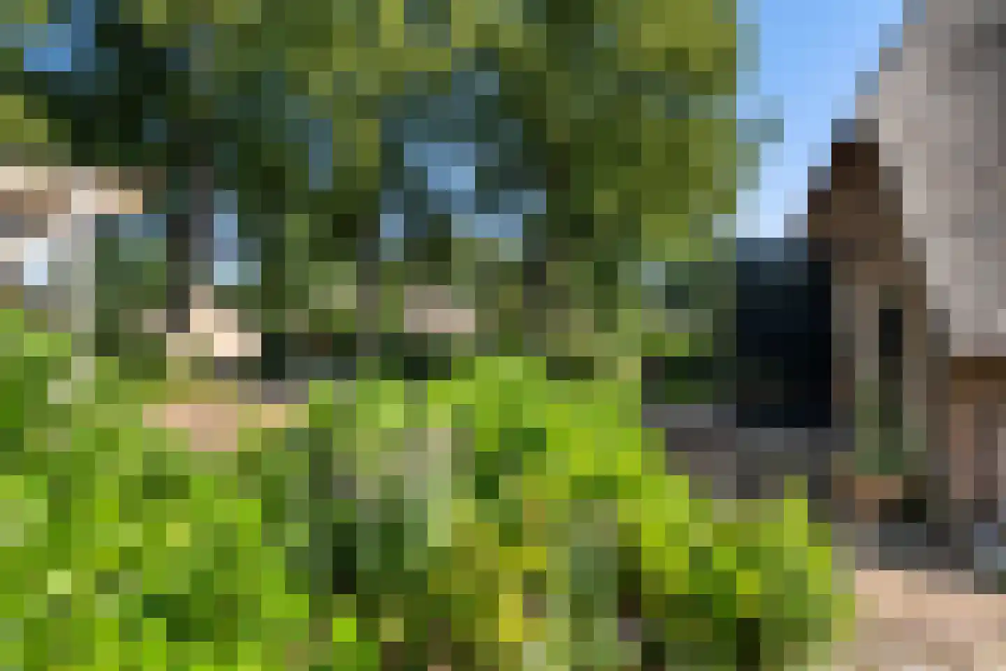 Schaapstreek 5 Sleen thumbnail 66
