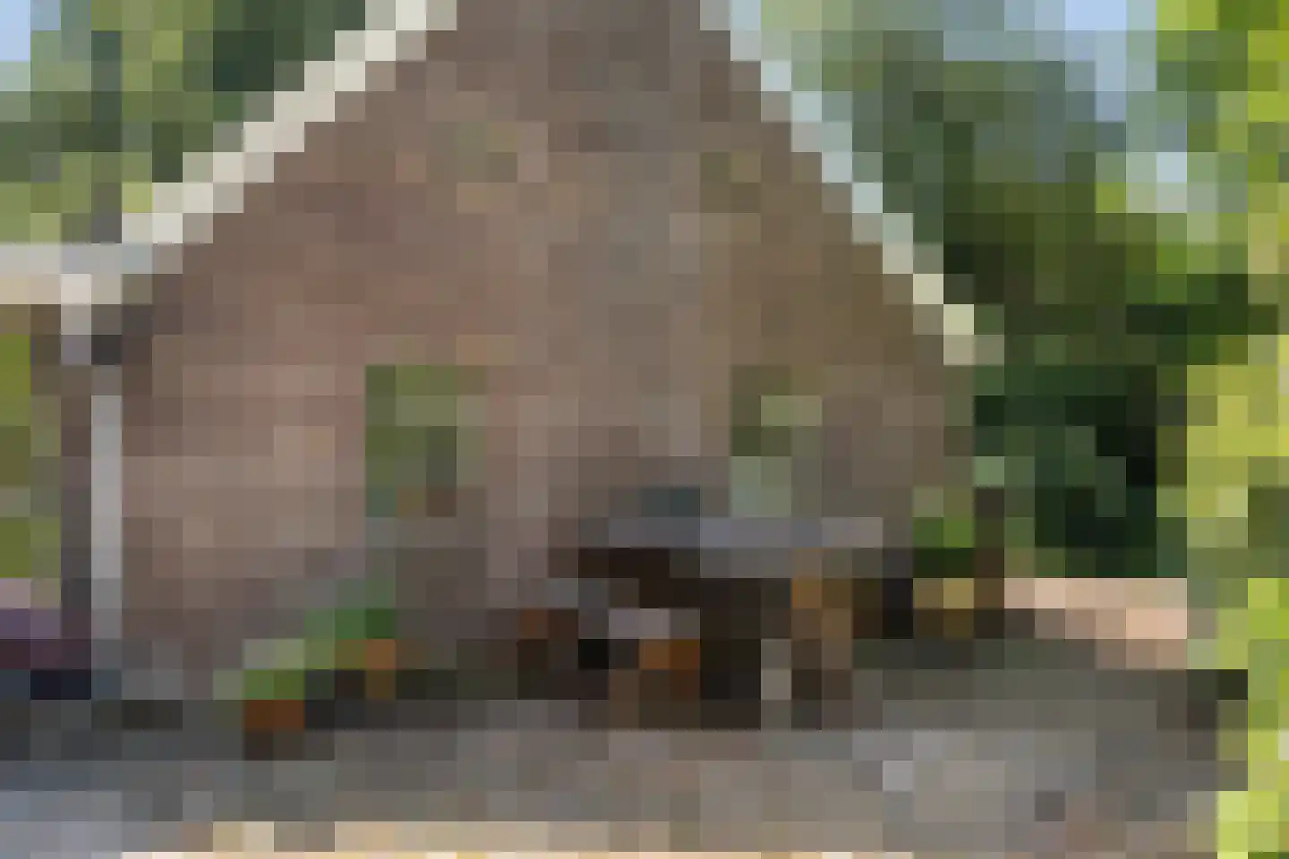 Schaapstreek 5 Sleen thumbnail 68