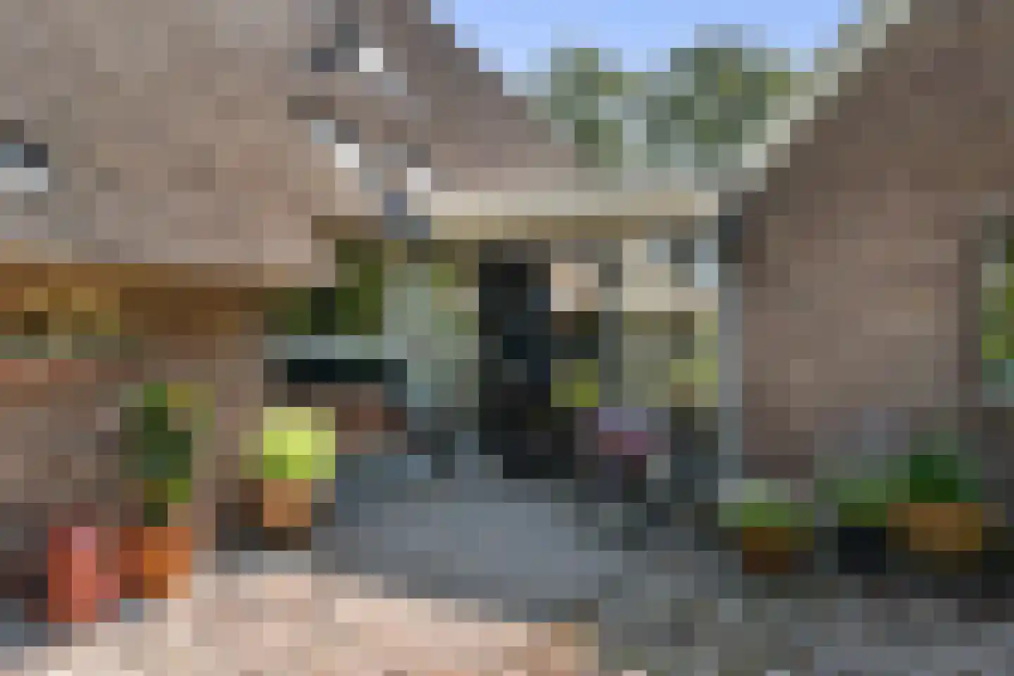 Schaapstreek 5 Sleen thumbnail 69